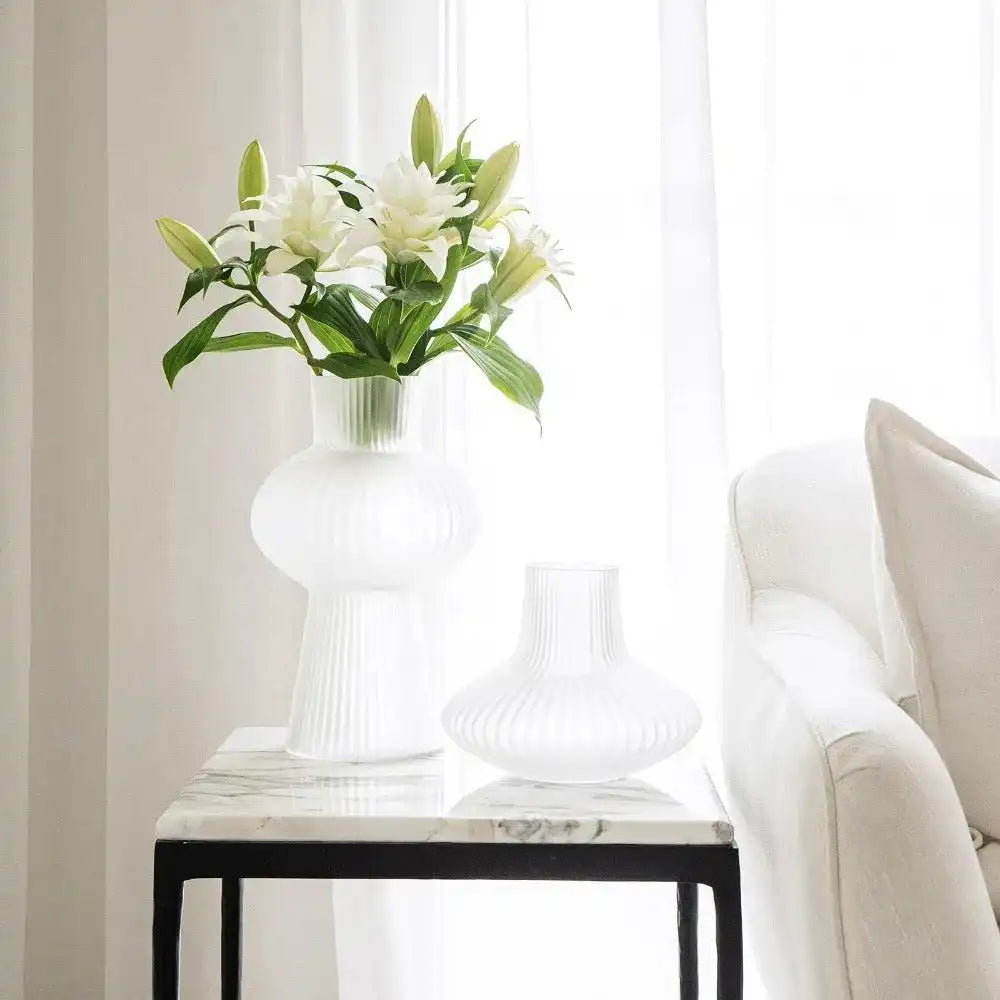 Zenya Bundle (Gift)