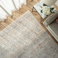 Hana Sandy Faded Beige Distressed Carpet