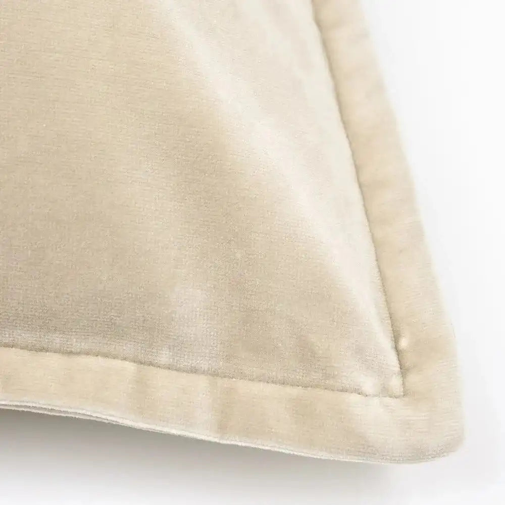 مجموعة اليخاندرو