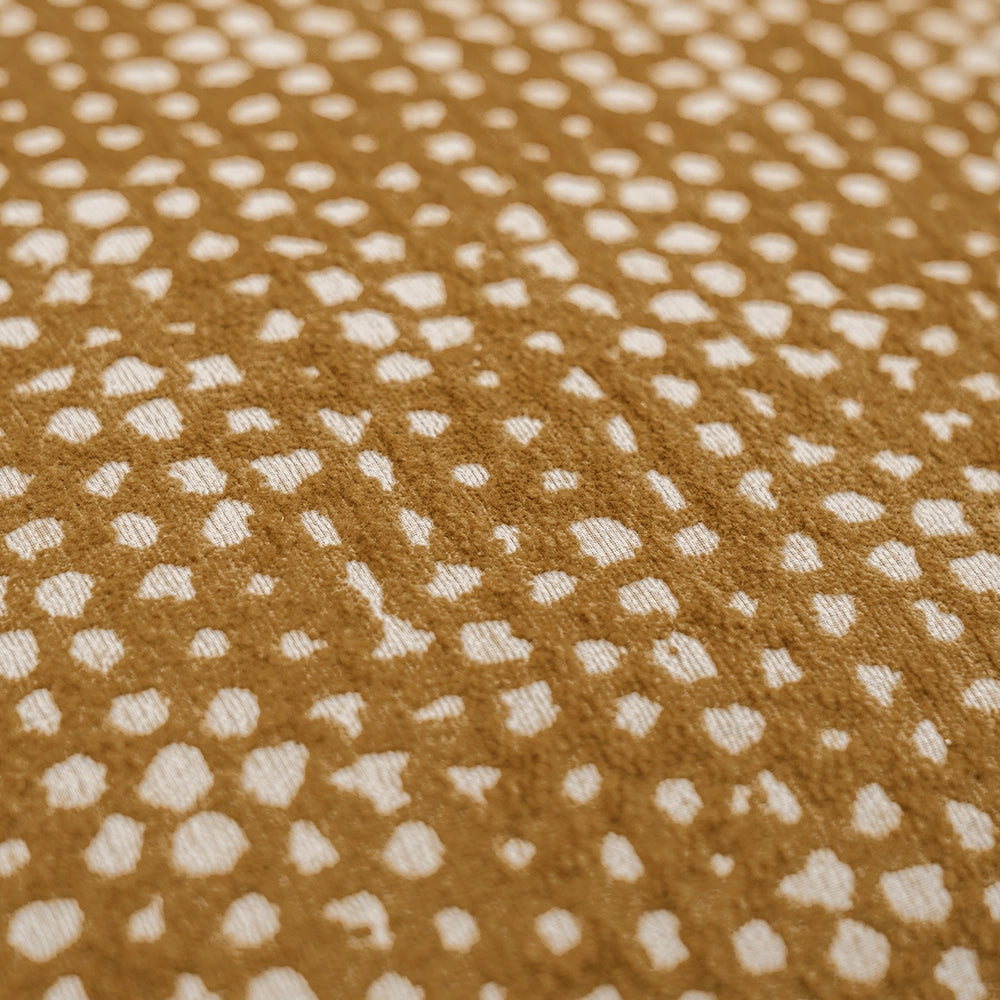 ميرسي باريمور