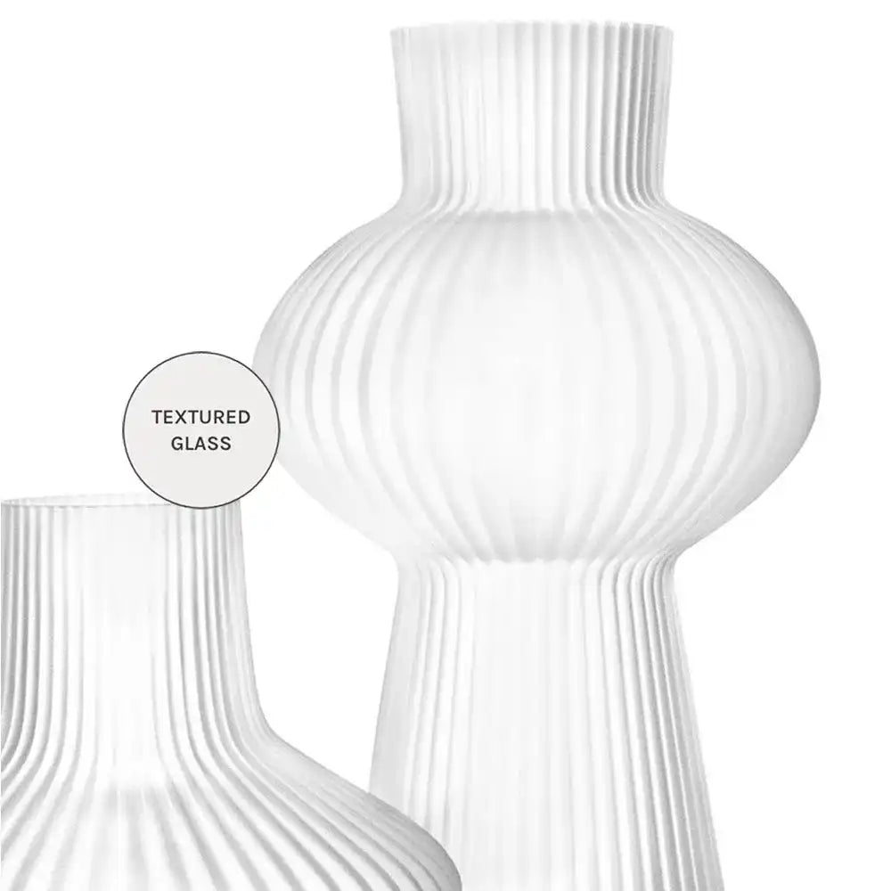 Zenya Bundle (Gift)