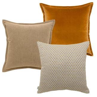 مجموعة أسترا