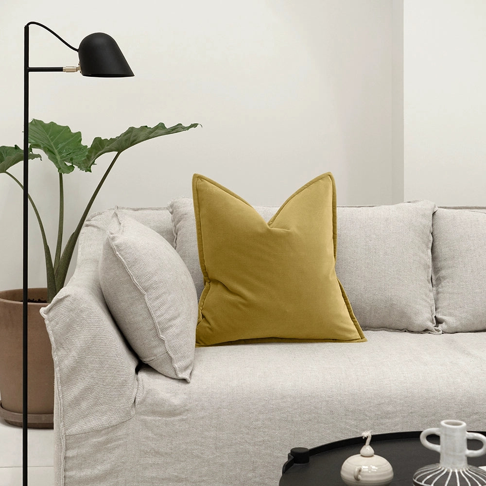 أليساندرا طحلب