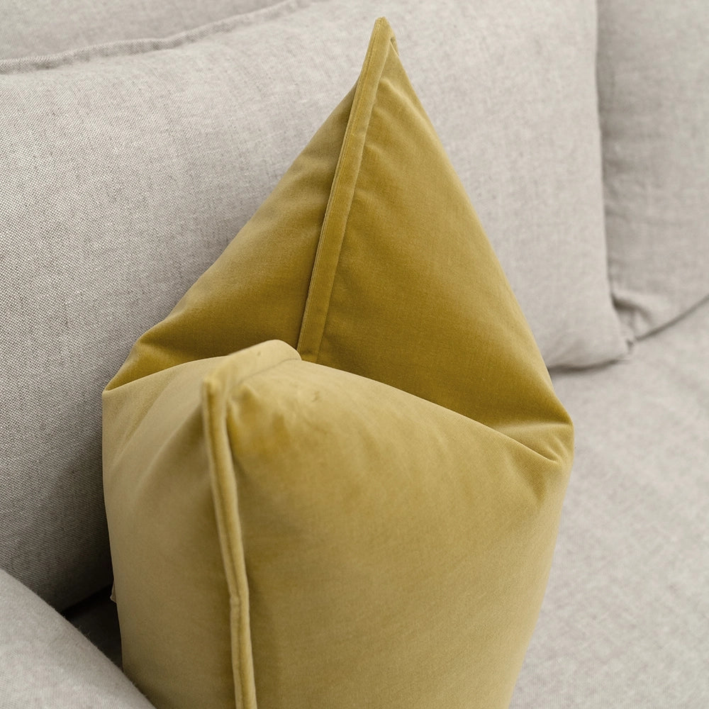 أليساندرا طحلب