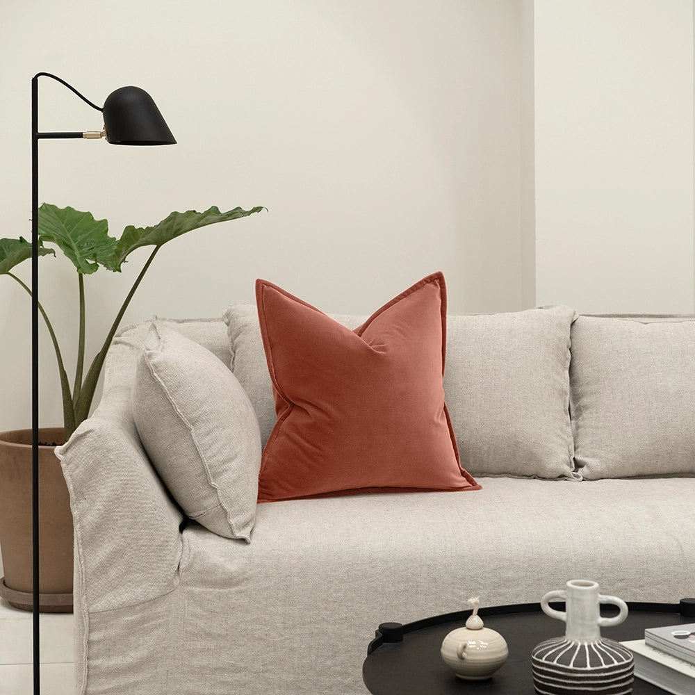 أليساندرا بلاش