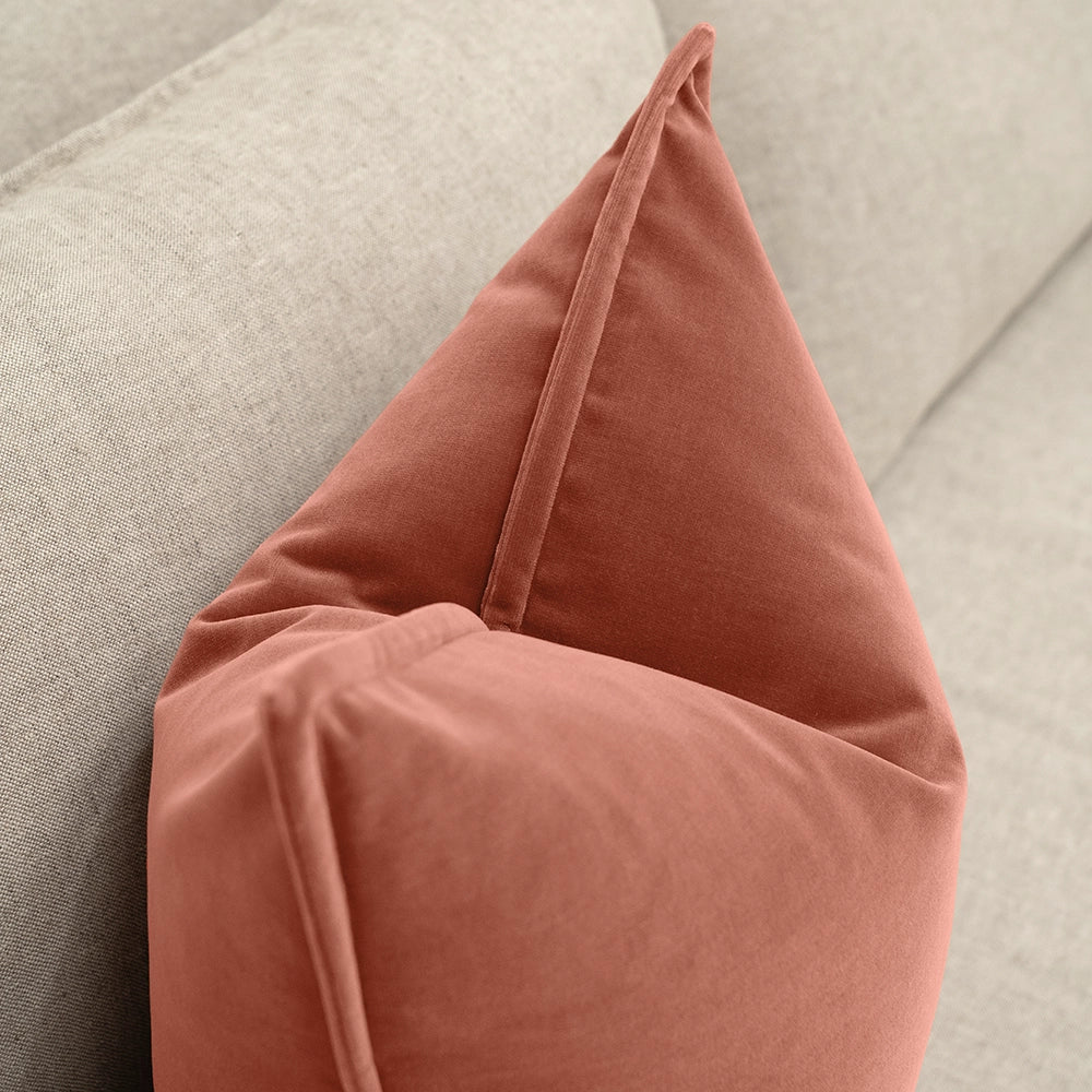 أليساندرا بلاش