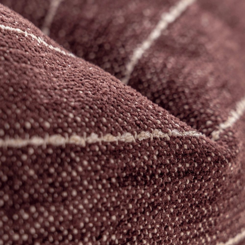 نوا سكارليت