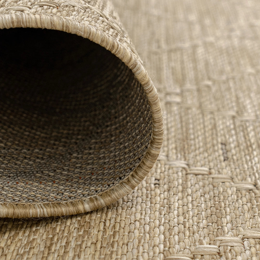 سولانا دون طويل