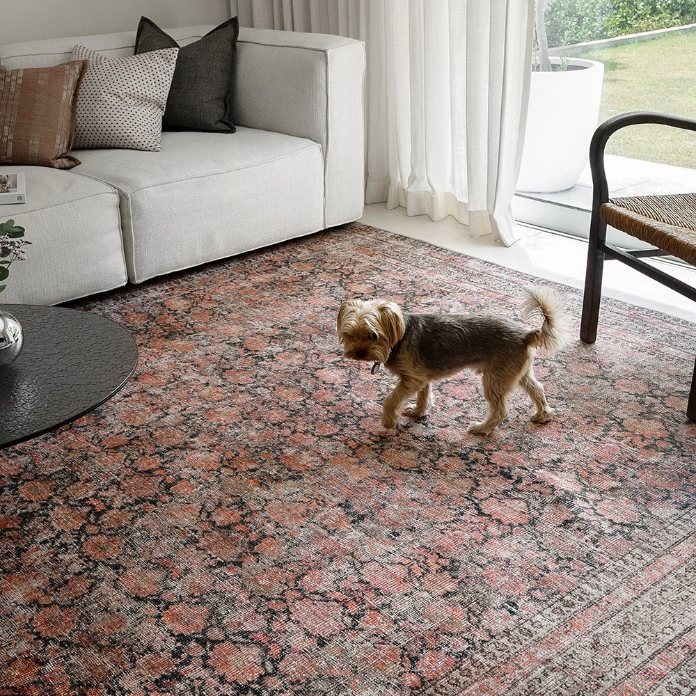 فينسنت تيراكوتا