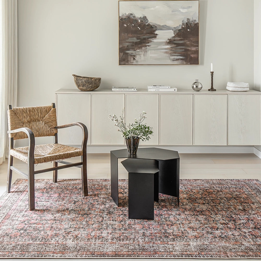 فينسنت تيراكوتا