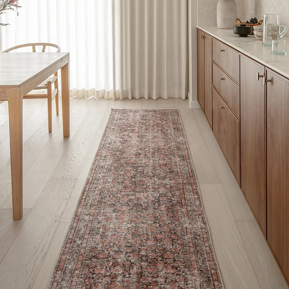 فينسنت تيراكوتا طويل