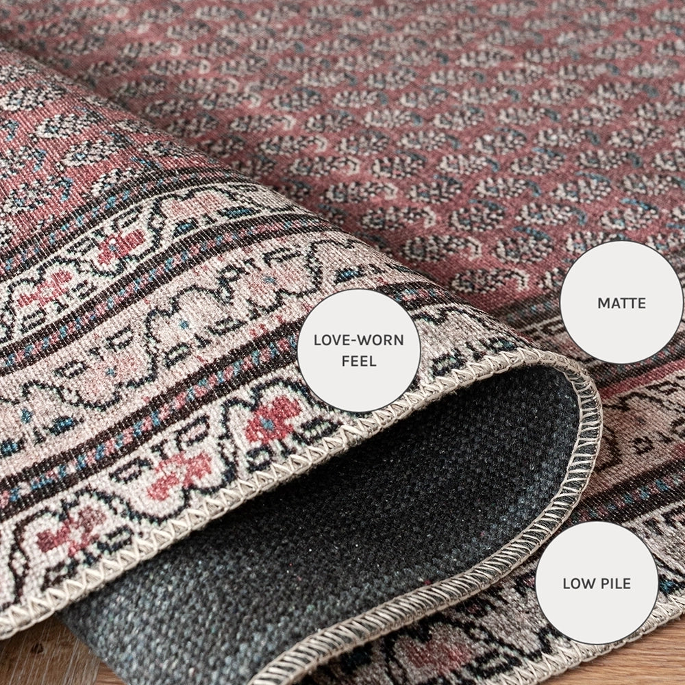 فينسنت كورال طويل