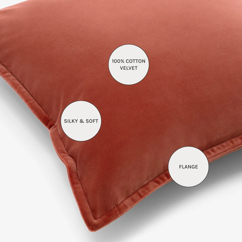 أليساندرا بلاش