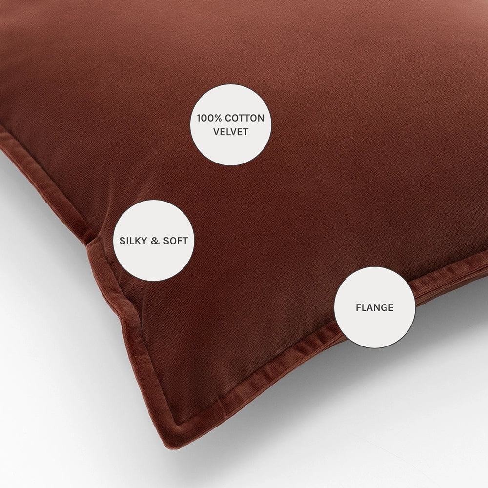 أليساندرا شيري