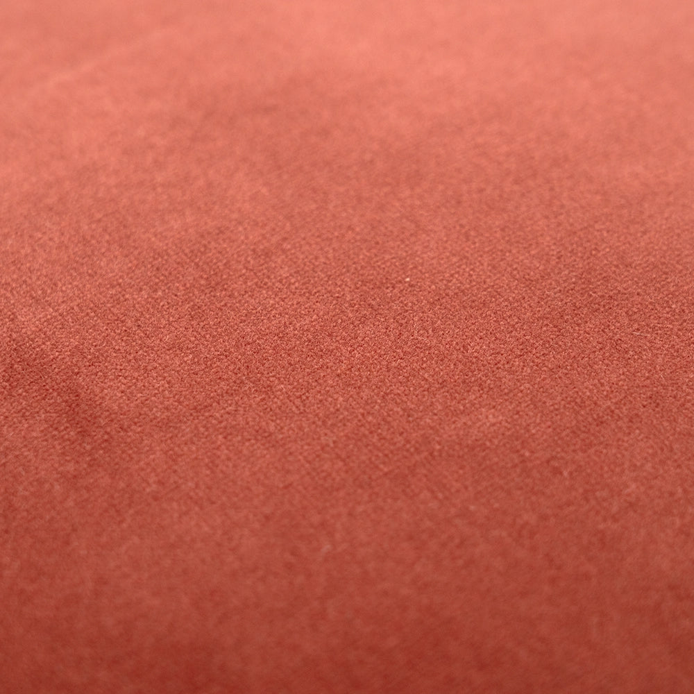 أليساندرا بلاش