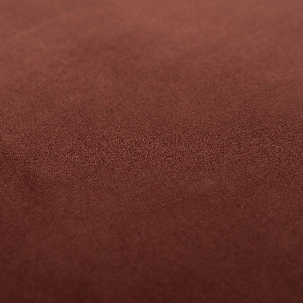 أليساندرا شيري