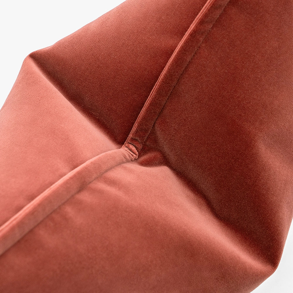 أليساندرا بلاش