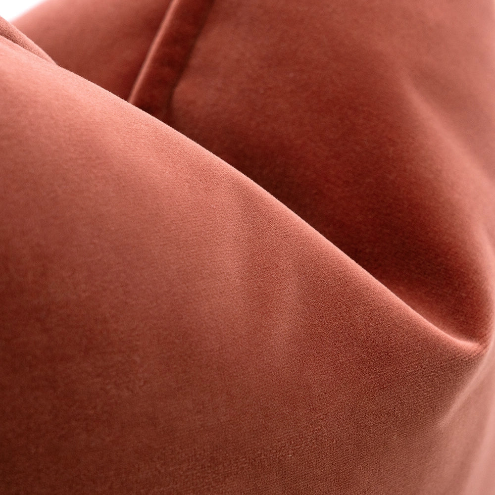 أليساندرا بلاش