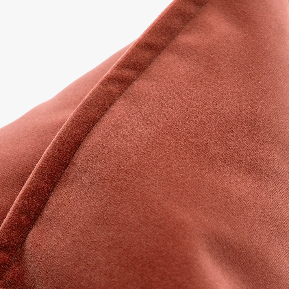 أليساندرا بلاش