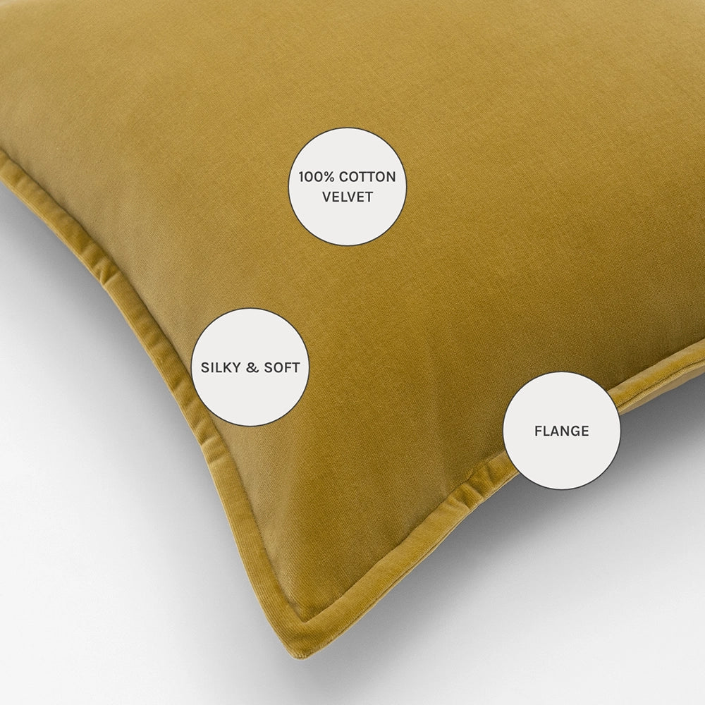 أليساندرا طحلب