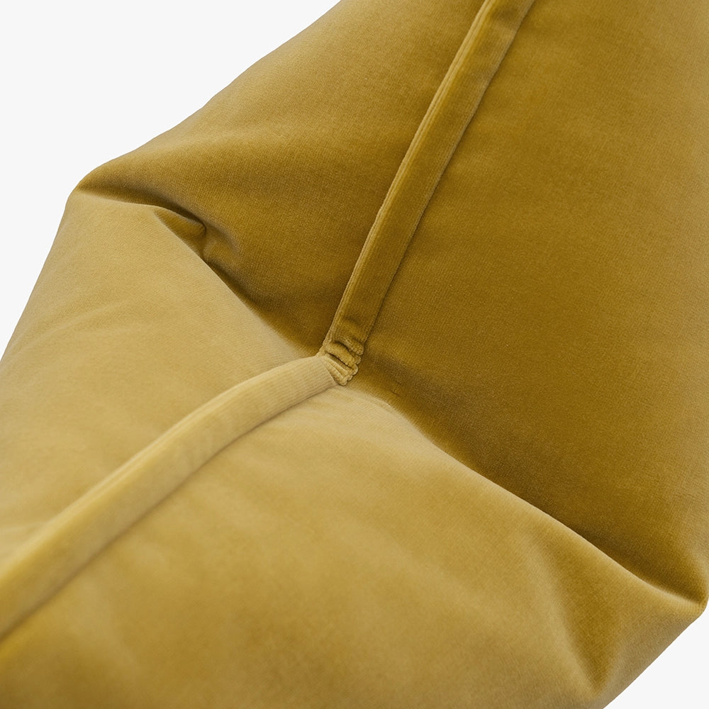 أليساندرا طحلب