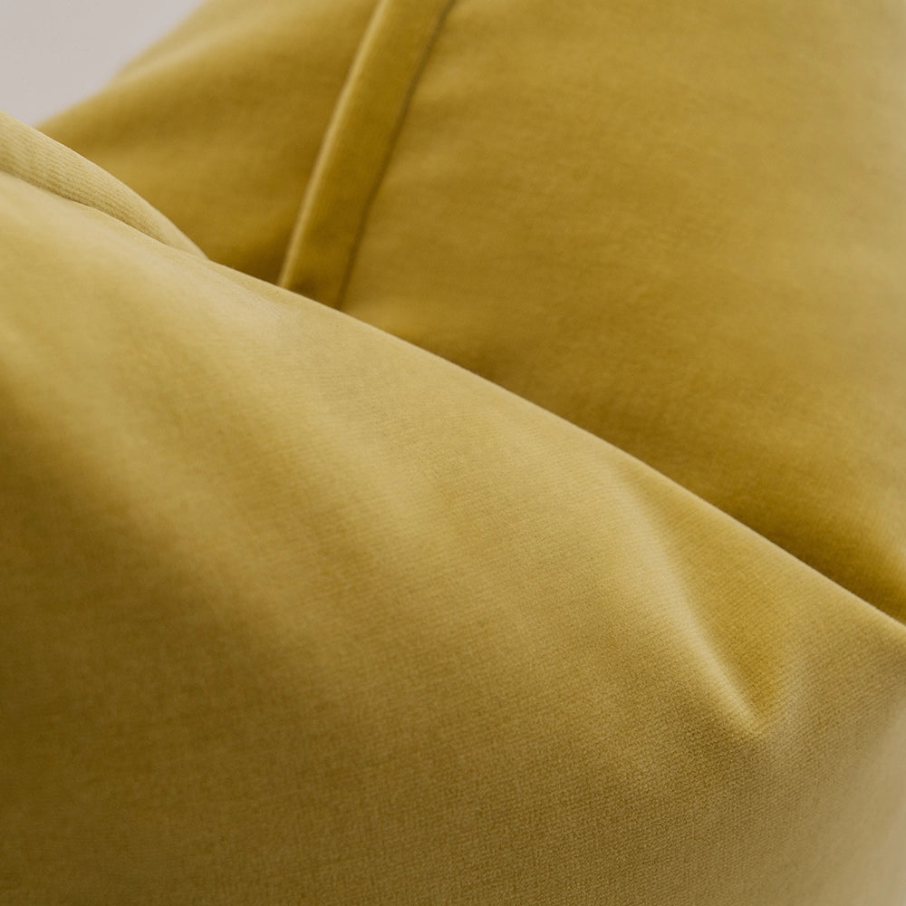 أليساندرا طحلب