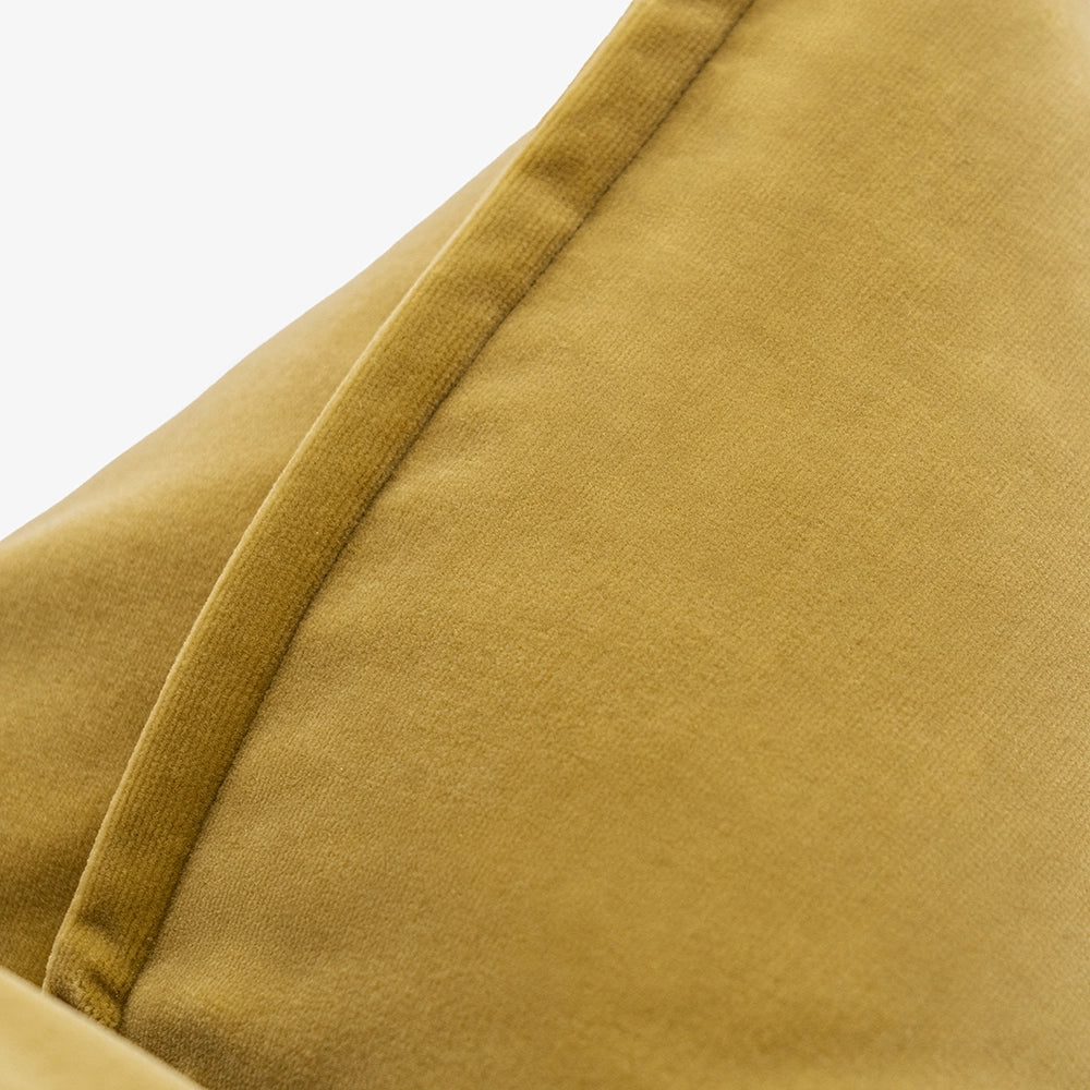 أليساندرا طحلب