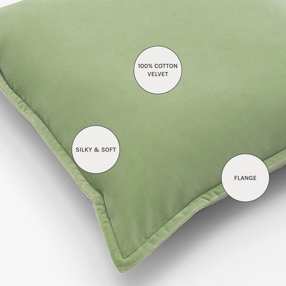 أليساندرا بيستاشيو