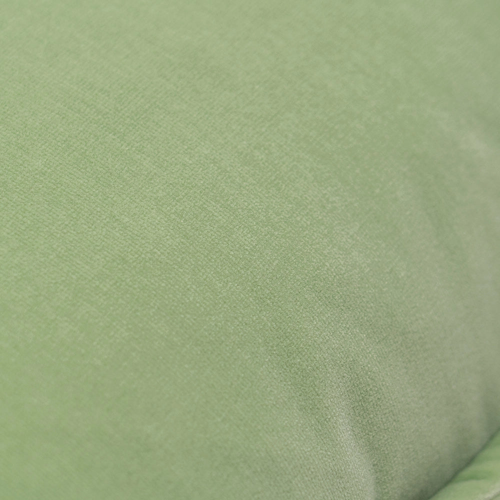 أليساندرا بيستاشيو