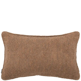 جين براون II