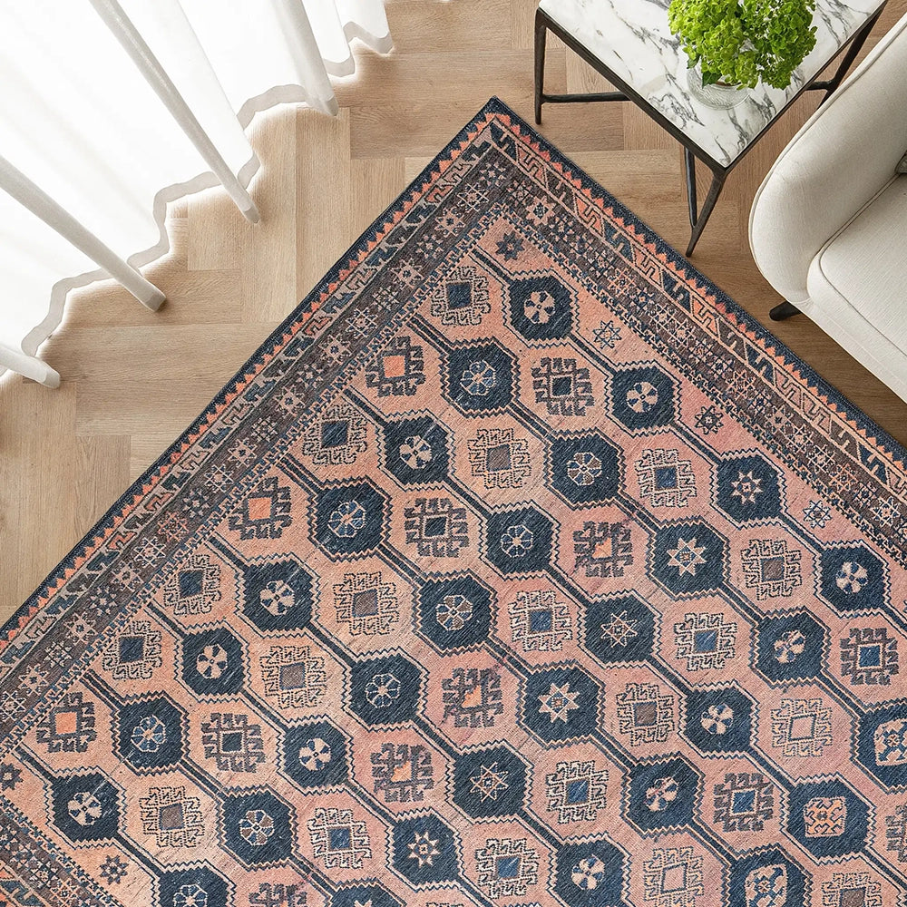 فينسنت بلوسوم