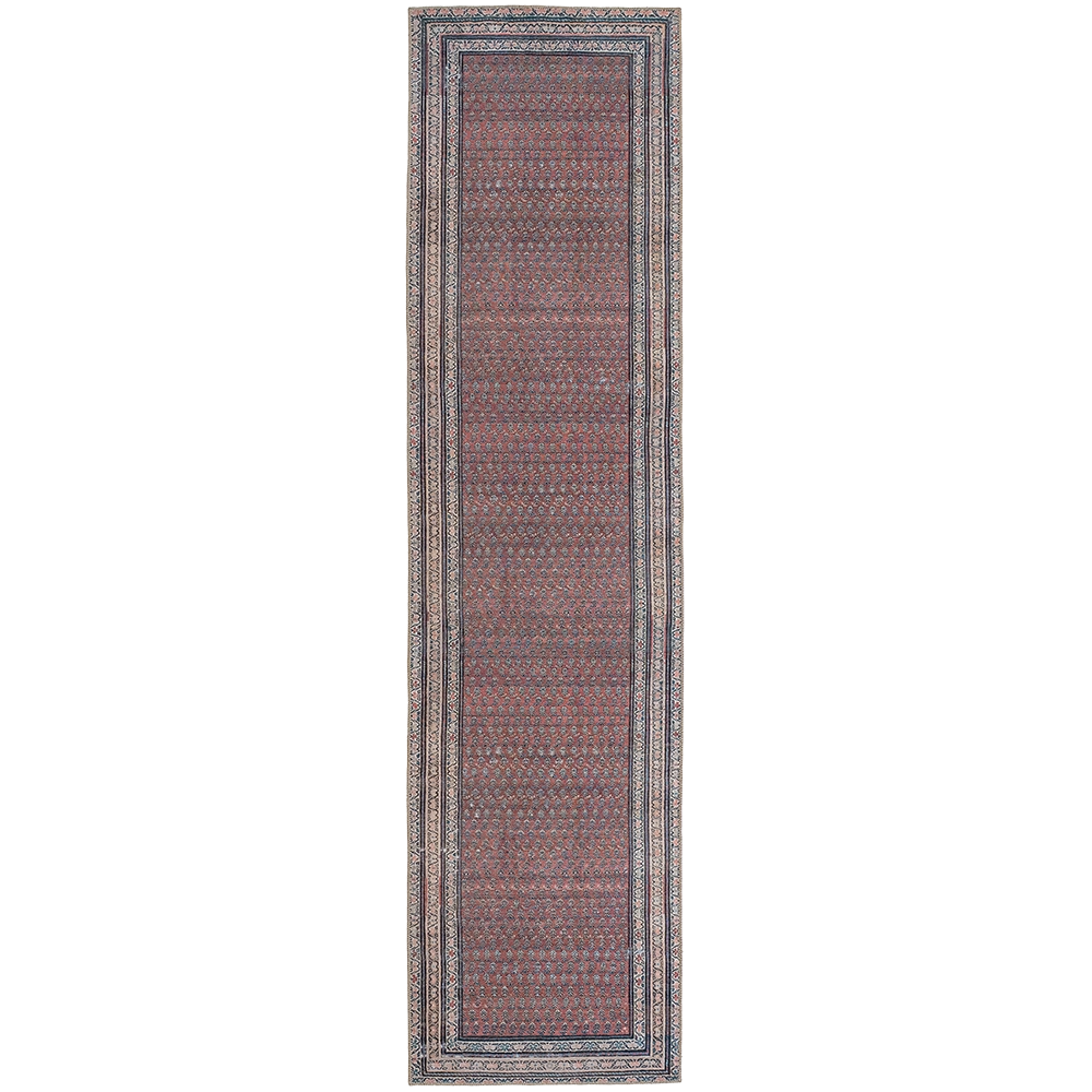 فينسنت كورال طويل